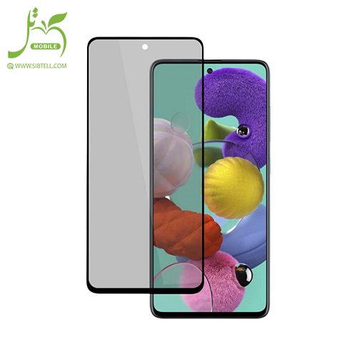 محافظ صفحه نمایش سرامیکی پرایوسی مناسب برای گوشی موبایل Samsung Galaxy S20fe